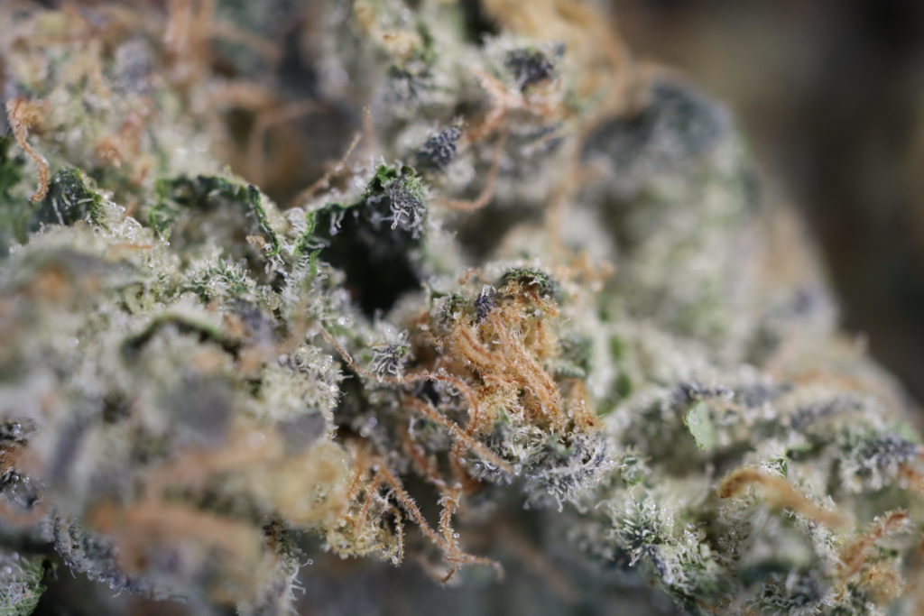 Wedding Cake by the Jungle Boys * The Cannabis Connoisseur
