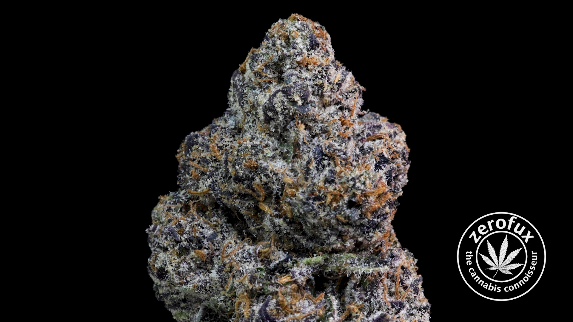 Black Cherry Gelato By The Backpack Boyz And 5 Points Exotic Strain   Sequence 02.00 00 06 08.Still006 1 