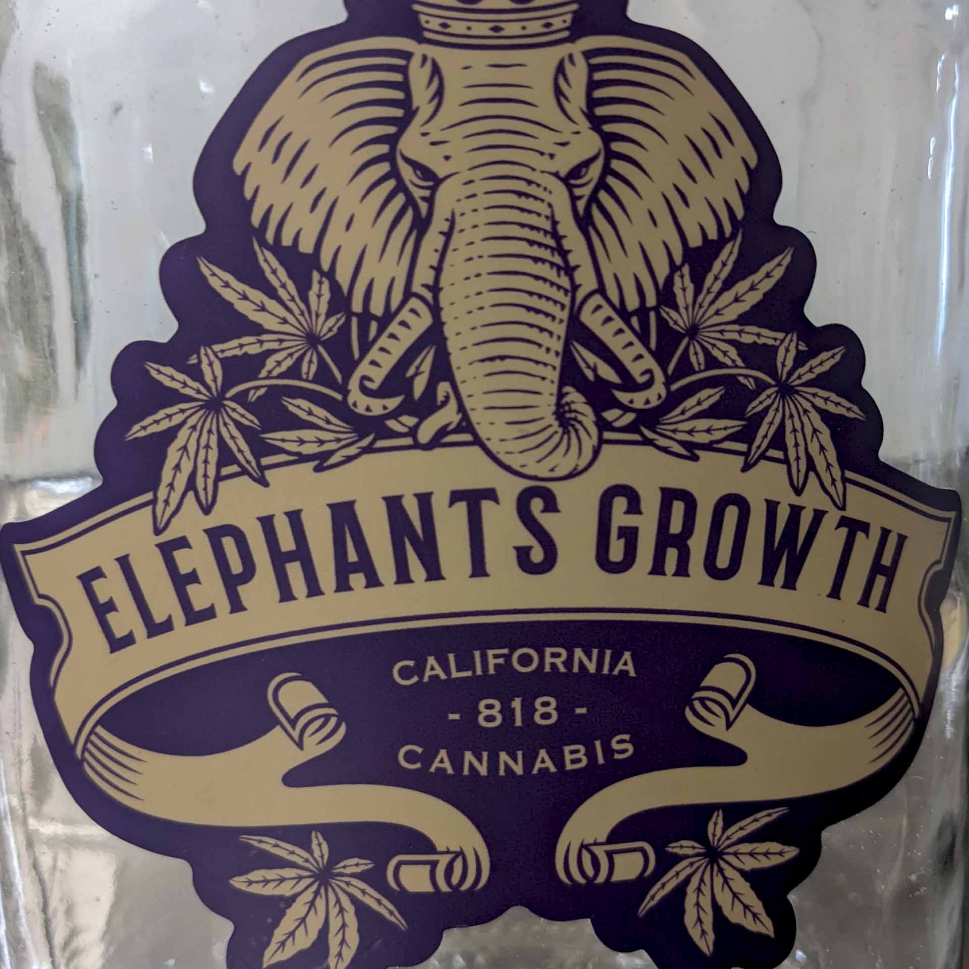 Elephants 41 Weed Strain by Elephants Growth